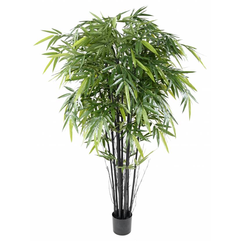Bambus Black Natural, 150cm