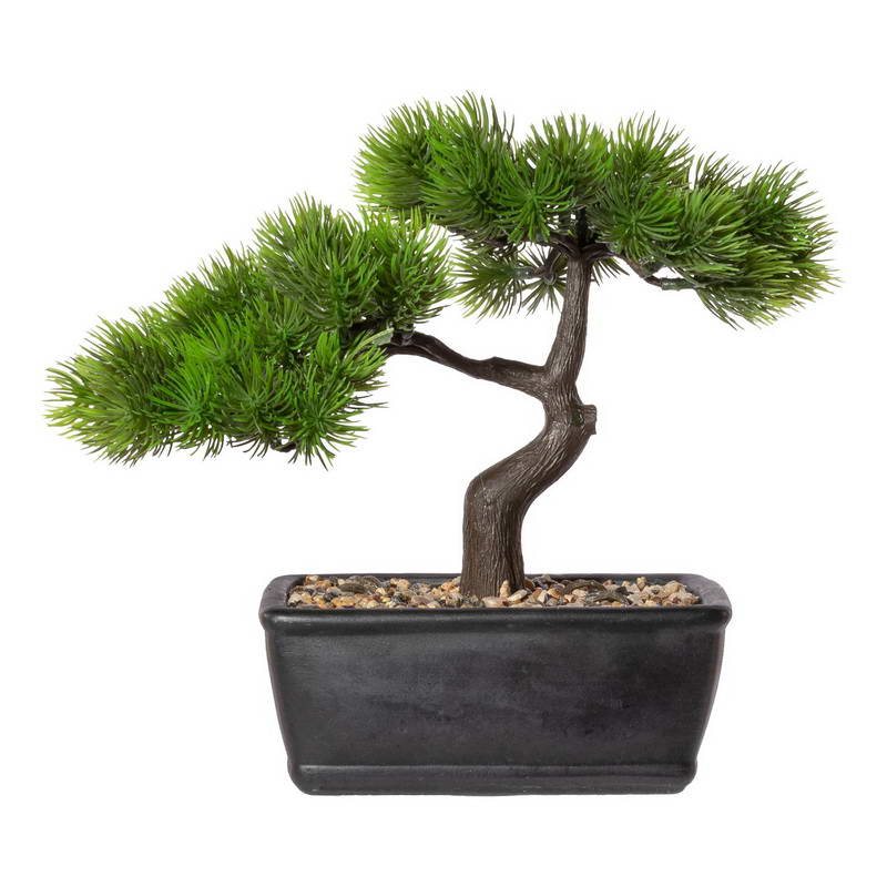 Bonsai modřín, 23x25cm