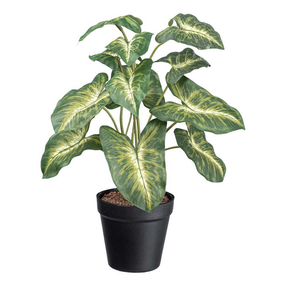 Syngonium žluto zelená v květináči, 38cm