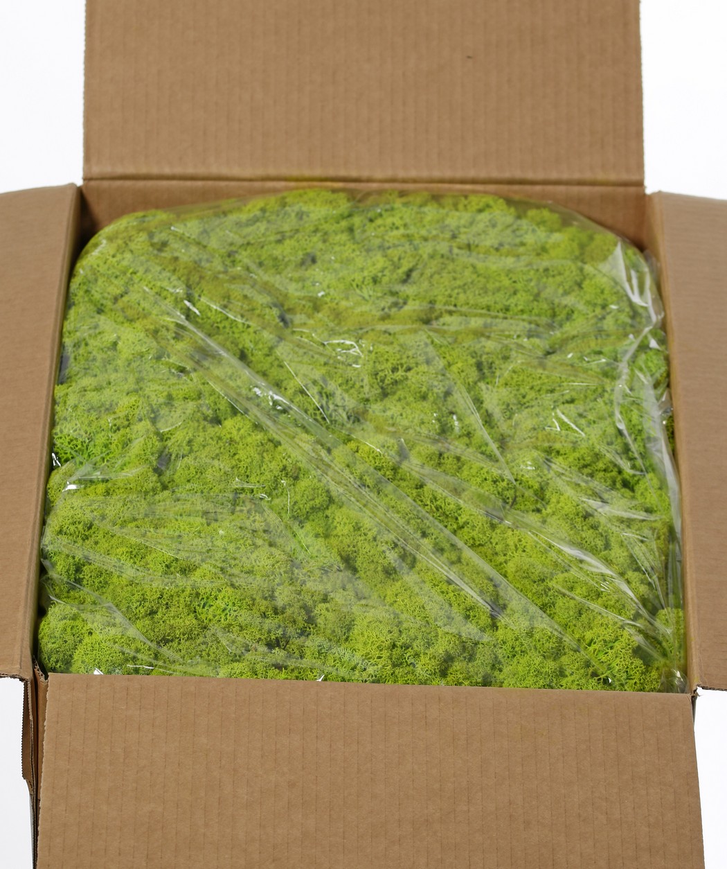 Stabilizovaný mech box 5kg - světle zelená