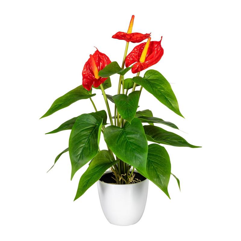 Anthurium červená v květináči, 40cm