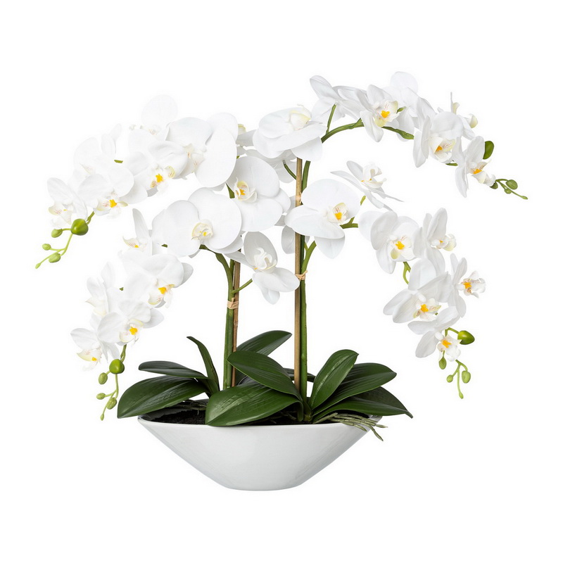 Orchidej bílá v misce, 53cm 