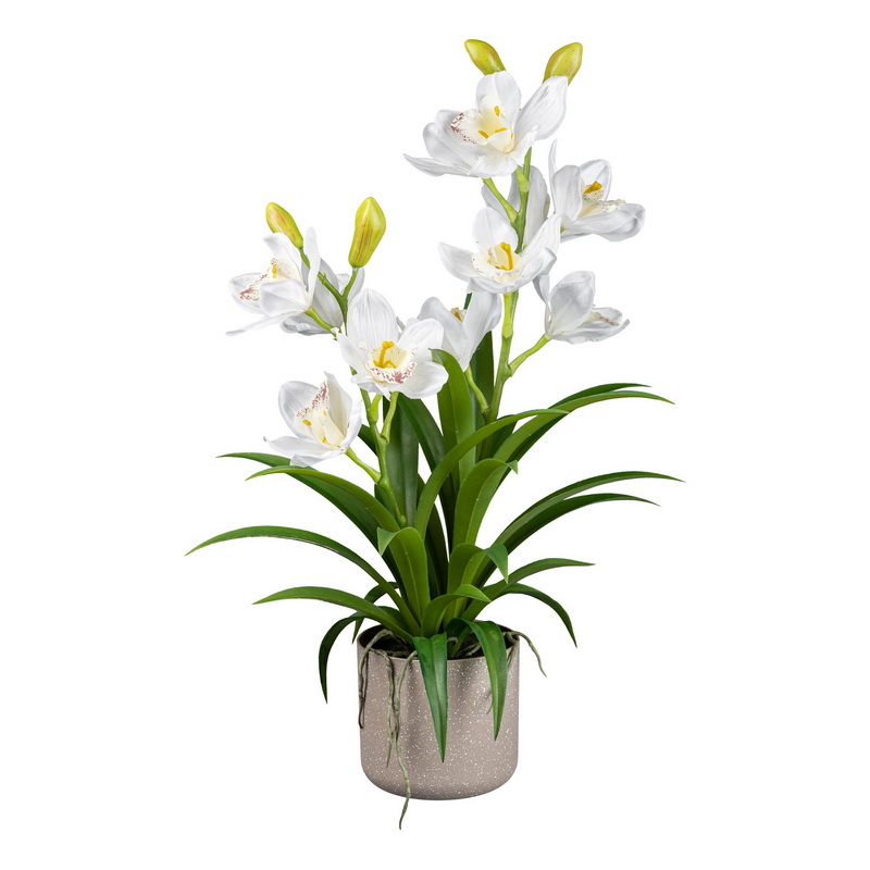 Cymbidium bílá v květináči, 58cm