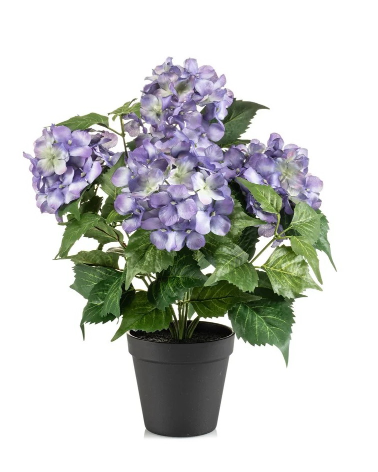 Hortenzie modrá v květináči, 38cm