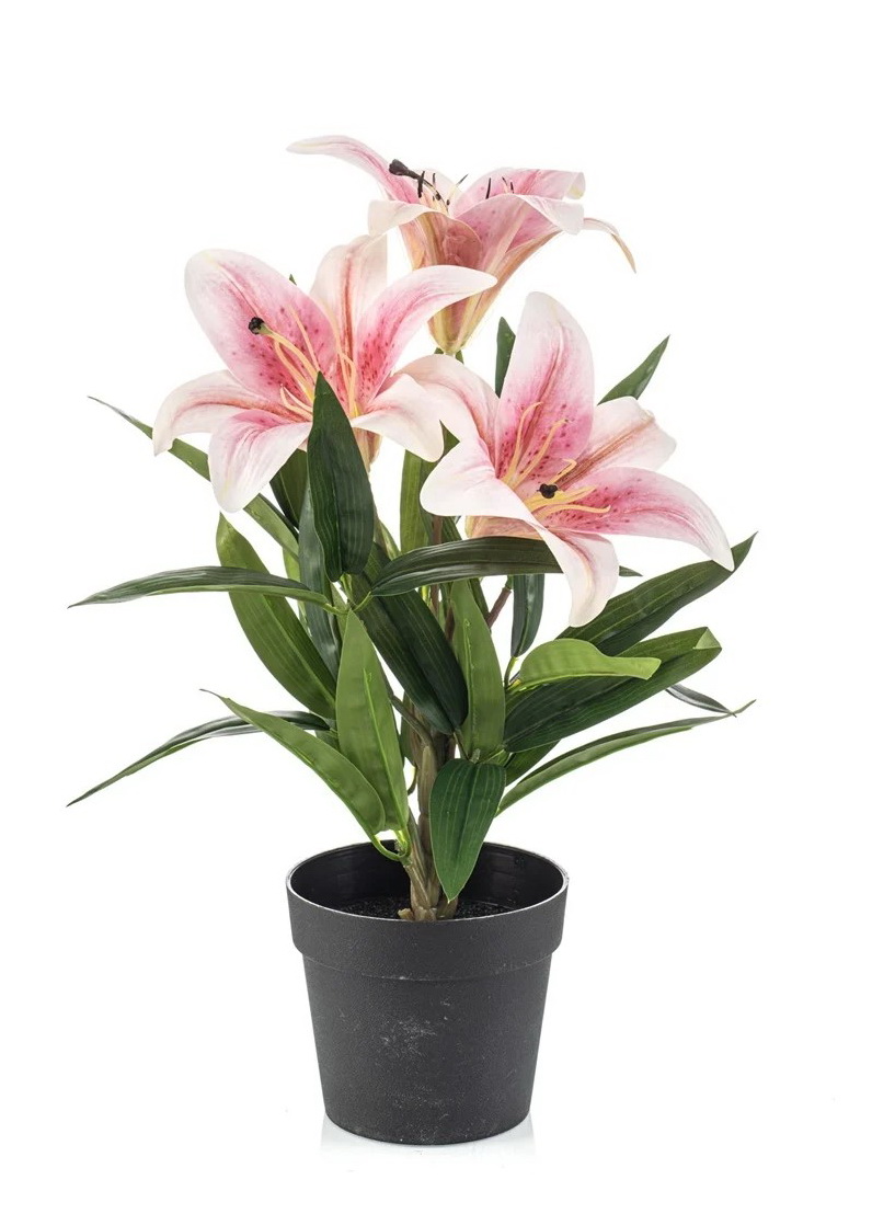 Lilie růžová v květináči, 33cm