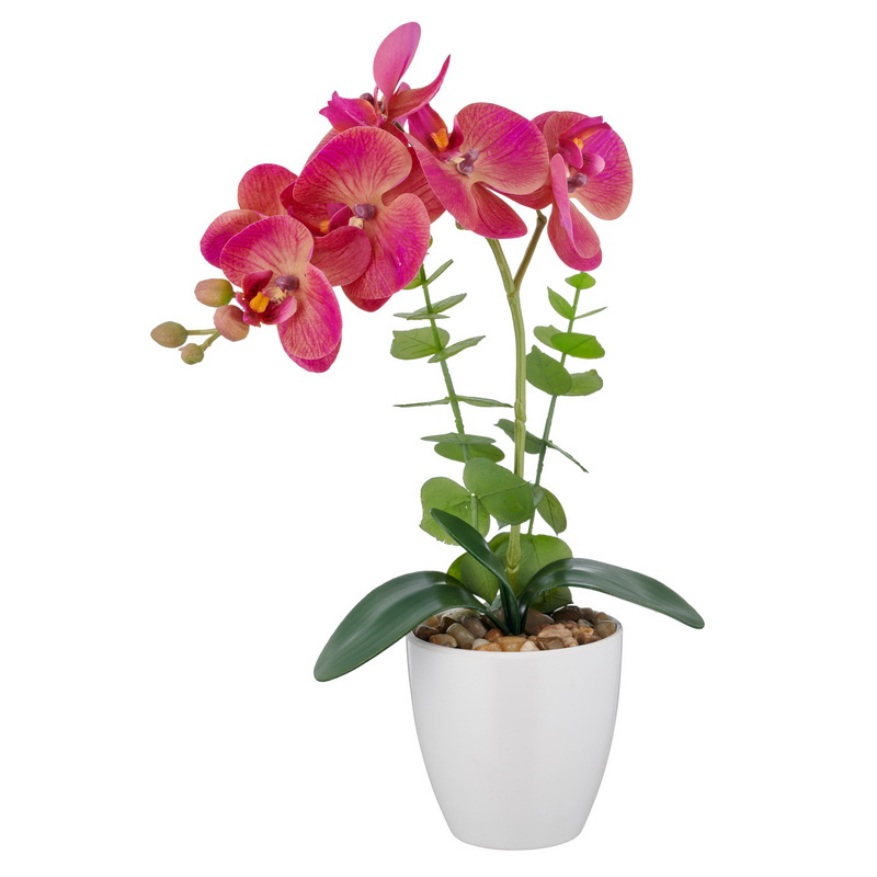 Orchidej růžová v květináči, 40cm