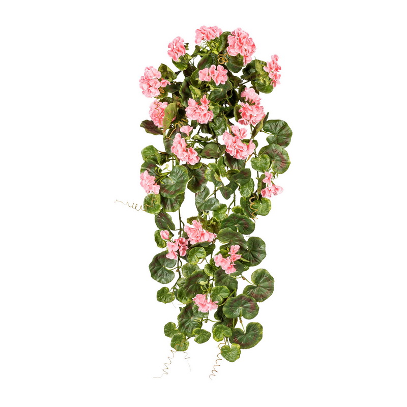 Geránium popínavé růžové venkovní, 80cm