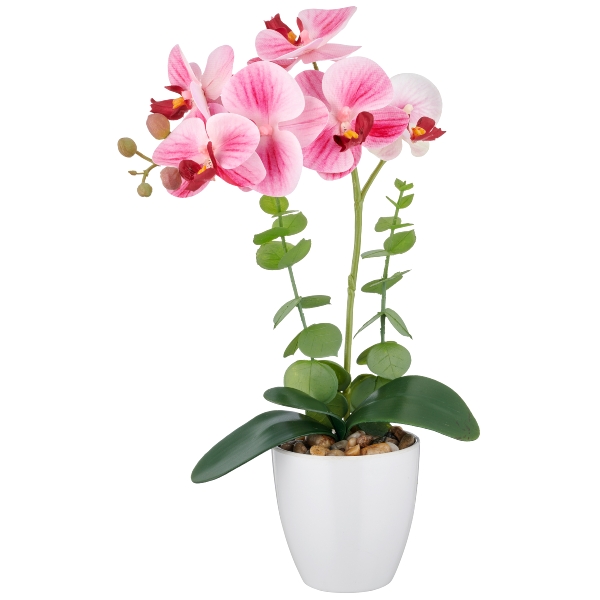 Orchidej světle růžová v květináči, 40cm