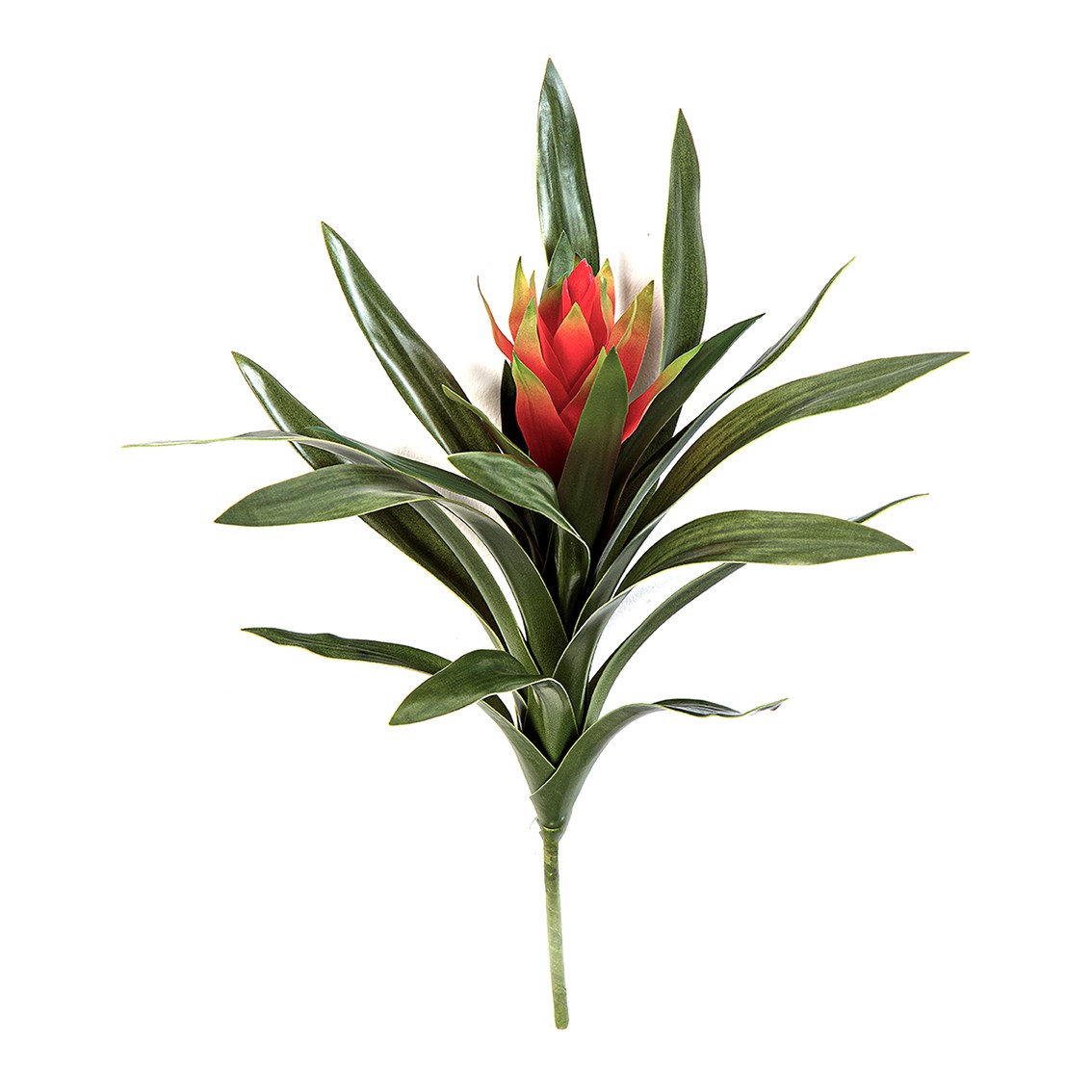 Bromelia s červeným květem, 40cm