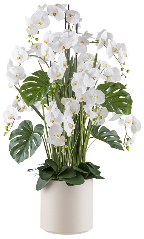 Orchidej bílá aranžmá v květináči, 140cm