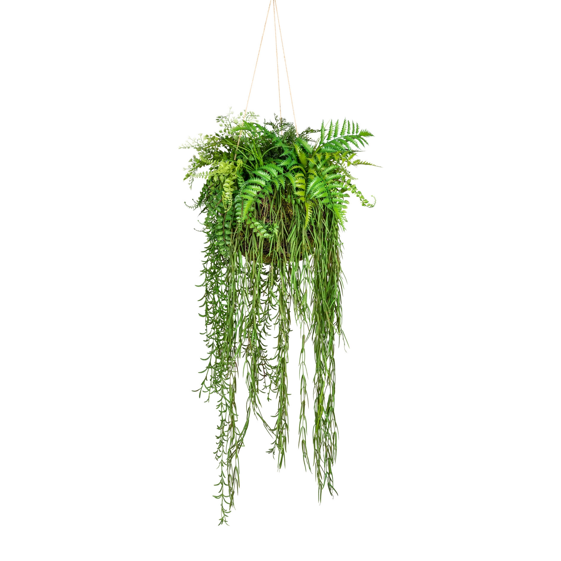 Kokedama mix rostlin XXL závěsná, 40x120cm
