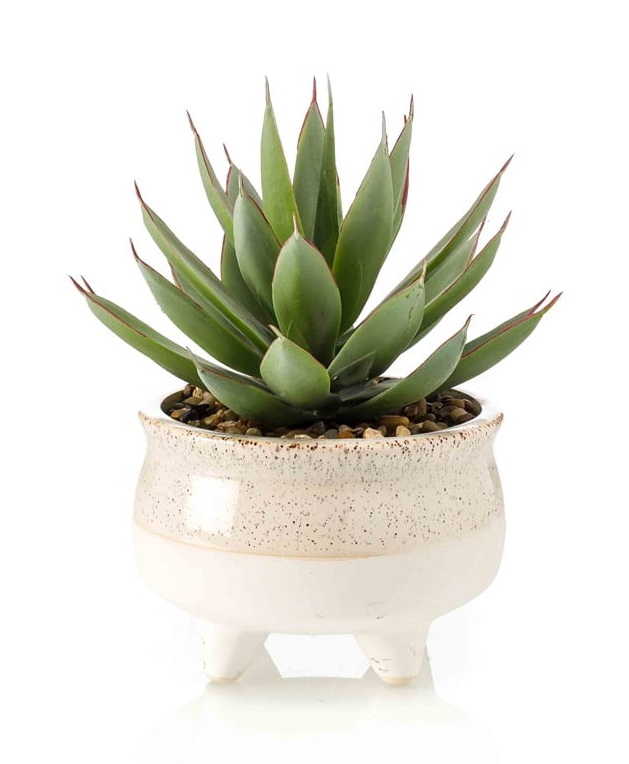 Umělý kaktus Echeveria v květináči, 20cm
