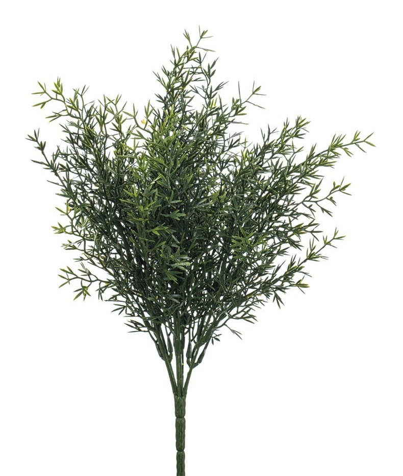Rozmarýn keřík, 35cm