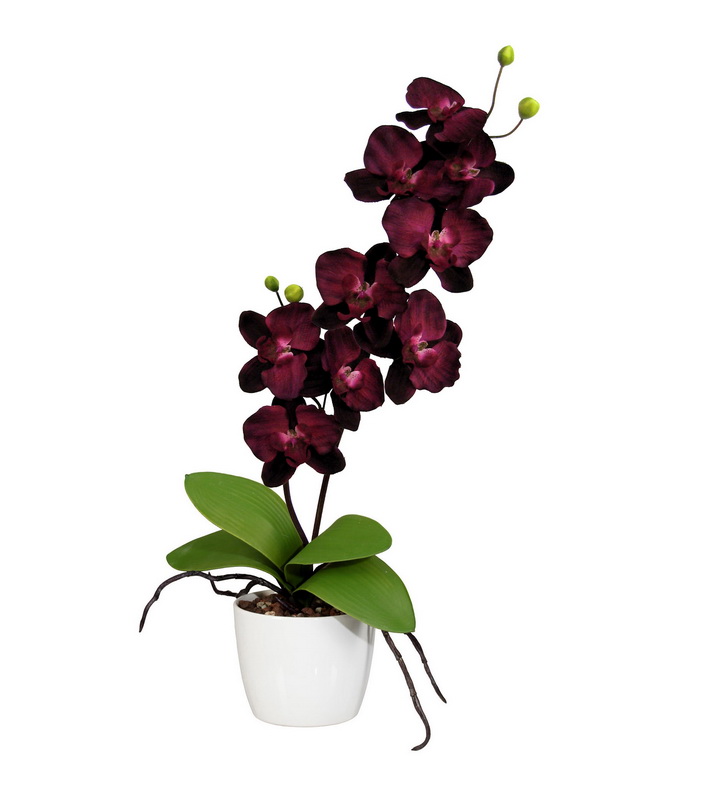 Orchidej fialová v květináči, 60cm