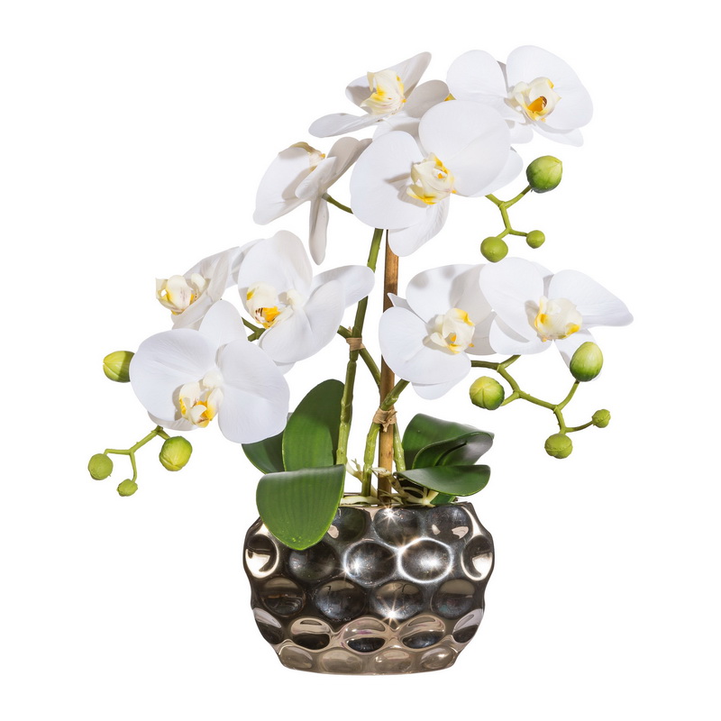 Orchidej bílá v květináči, 30cm