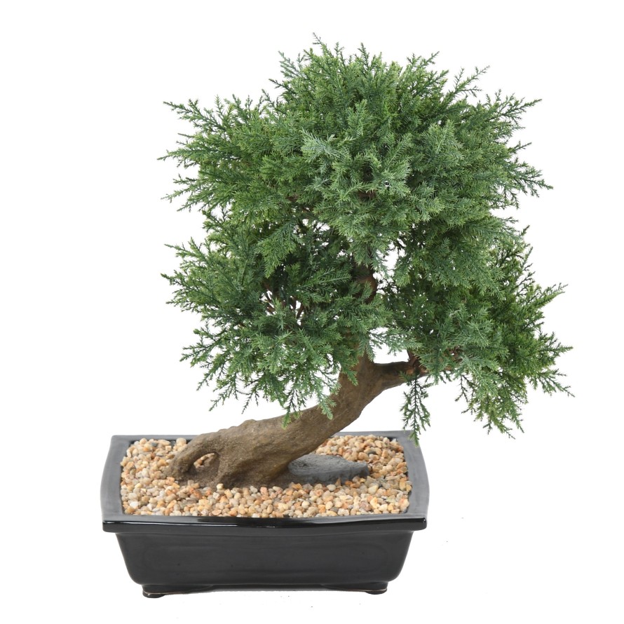 Bonsai Juniperus v květináči deluxe, 55cm