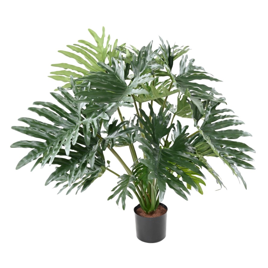 Palma Philodendron deluxe, 95cm