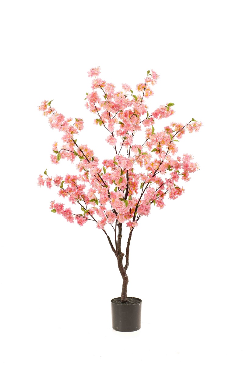Blossom třešeň strom růžový, 135 cm