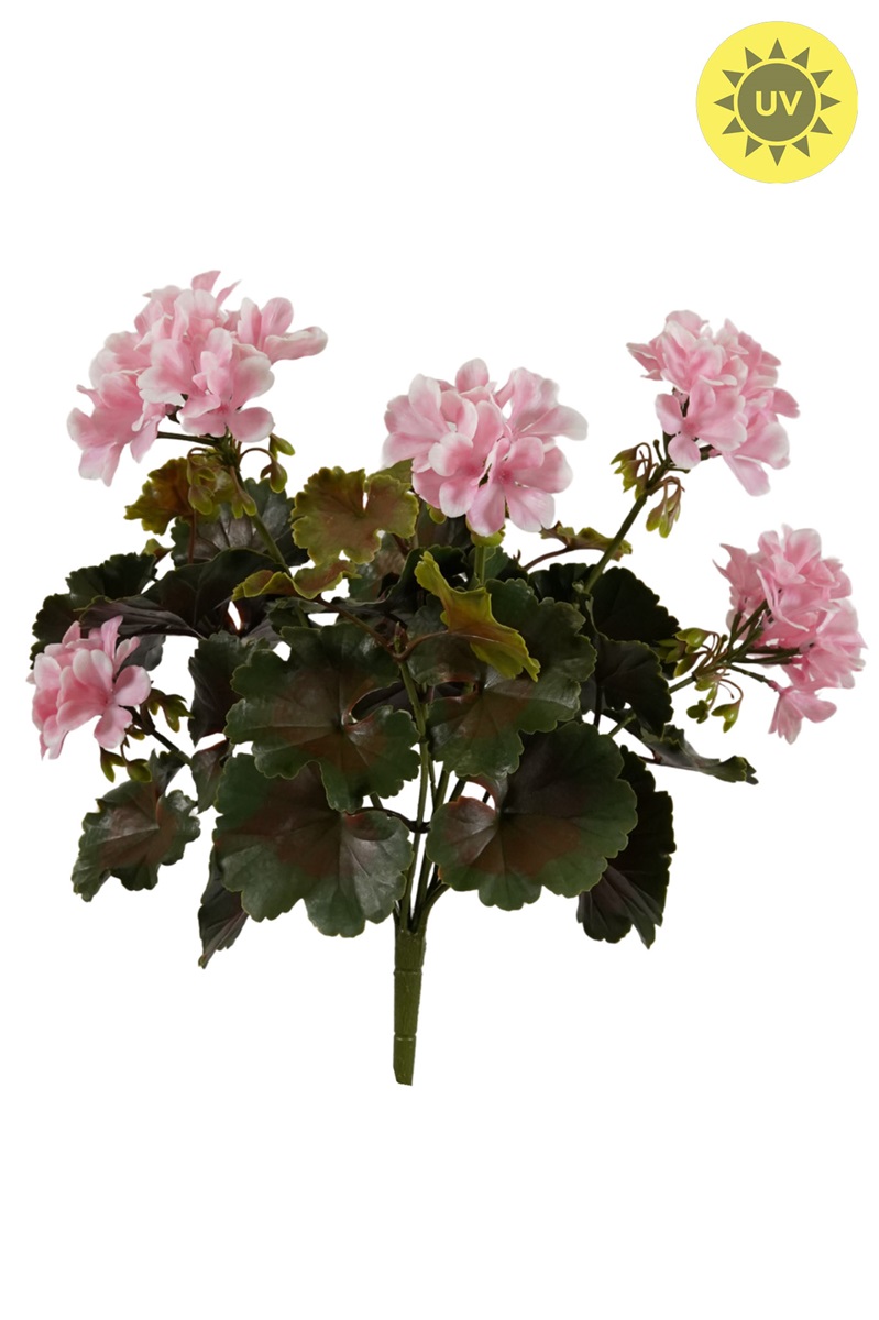 Geránium růžové venkovní, 38cm
