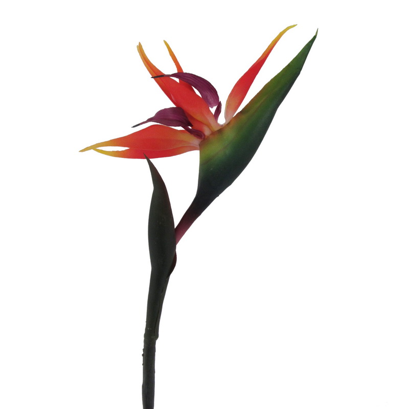 Strelitzia na stonku 83cm, set 6ks