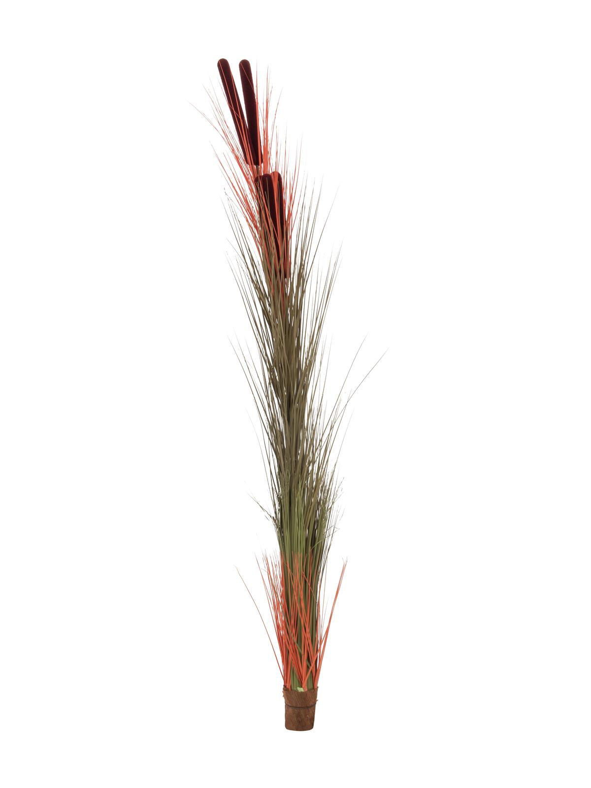 Zblochan vodní, světle hnědý s pupeny, 152 cm